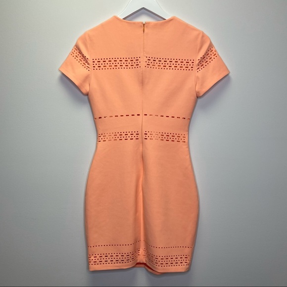 Elizabeth and James Laser Cutout Ari Dress Size 4 - Picture 12 of 17